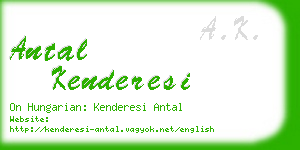 antal kenderesi business card